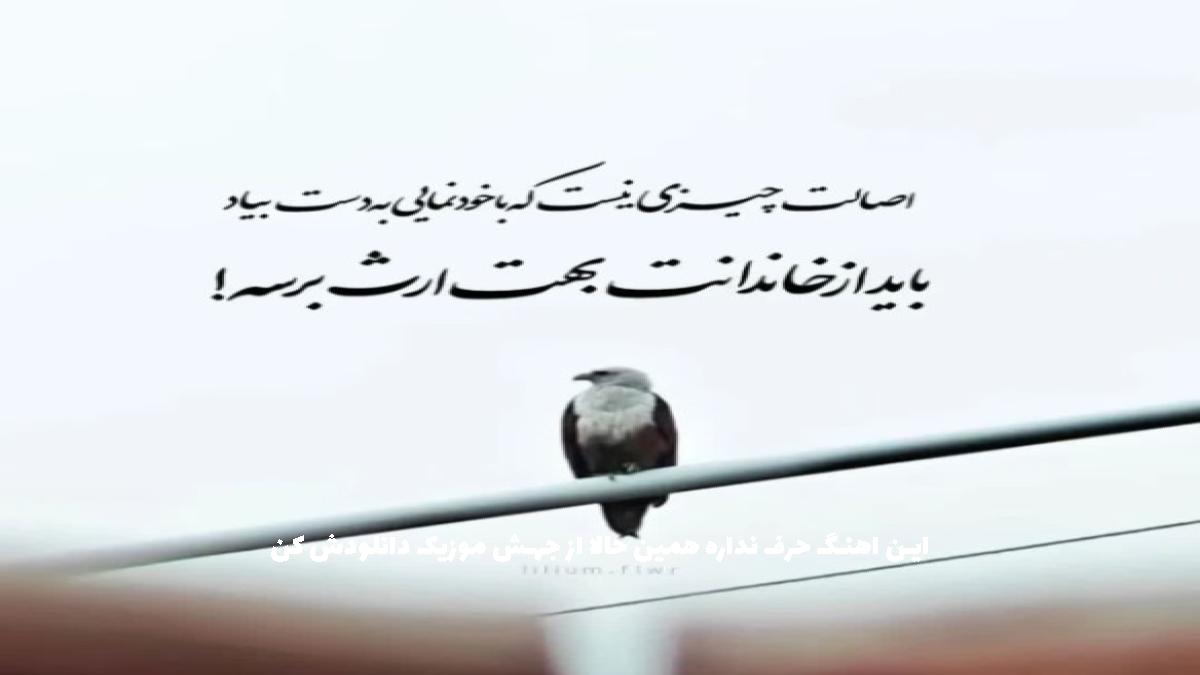 عکس آهنگ اصلا صدامه داری بگو الان کجایی از امیر لیام